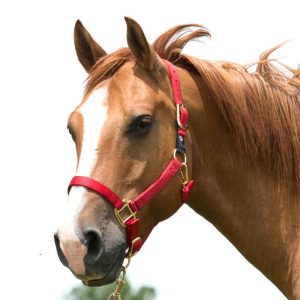 Riimu Weaver Xtended Life Closure System Adjustable Breakaway Halter