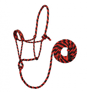 Naruriimu Weaver Braided Rope Halter with 10' Lead