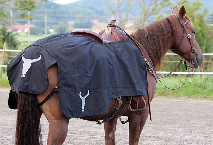All That Western Riding Rug Fillinic ratsastusloimi