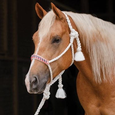 Professional's Choice Cowboy Braided Rope Halter naruriimusetti
