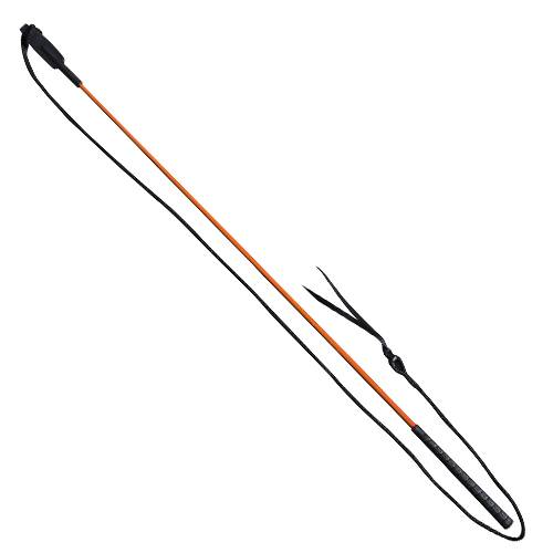 Training Stick Professional's Choice