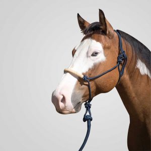 Naruriimu & köysisetti Lami-Cell Phoenix Rope halter with lead 3 m