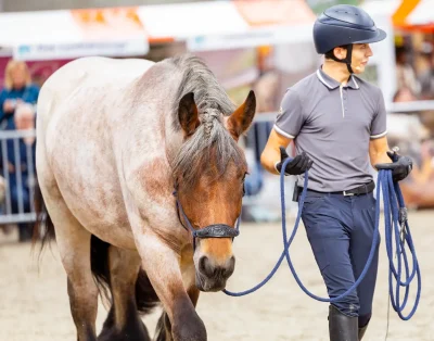 Köysi EDIX Resi Lead