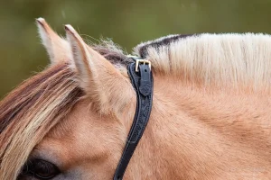 Naruriimu & köysisetti EDIX Resi Ropehalter
