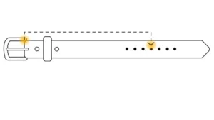Ariat Belt Sizing