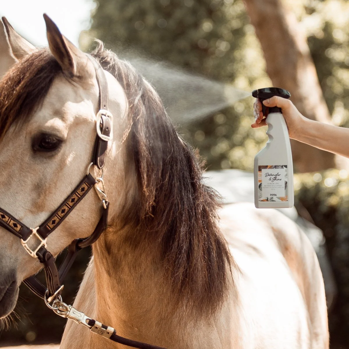 PIPPA Detangler & Shine Spray 500ml
