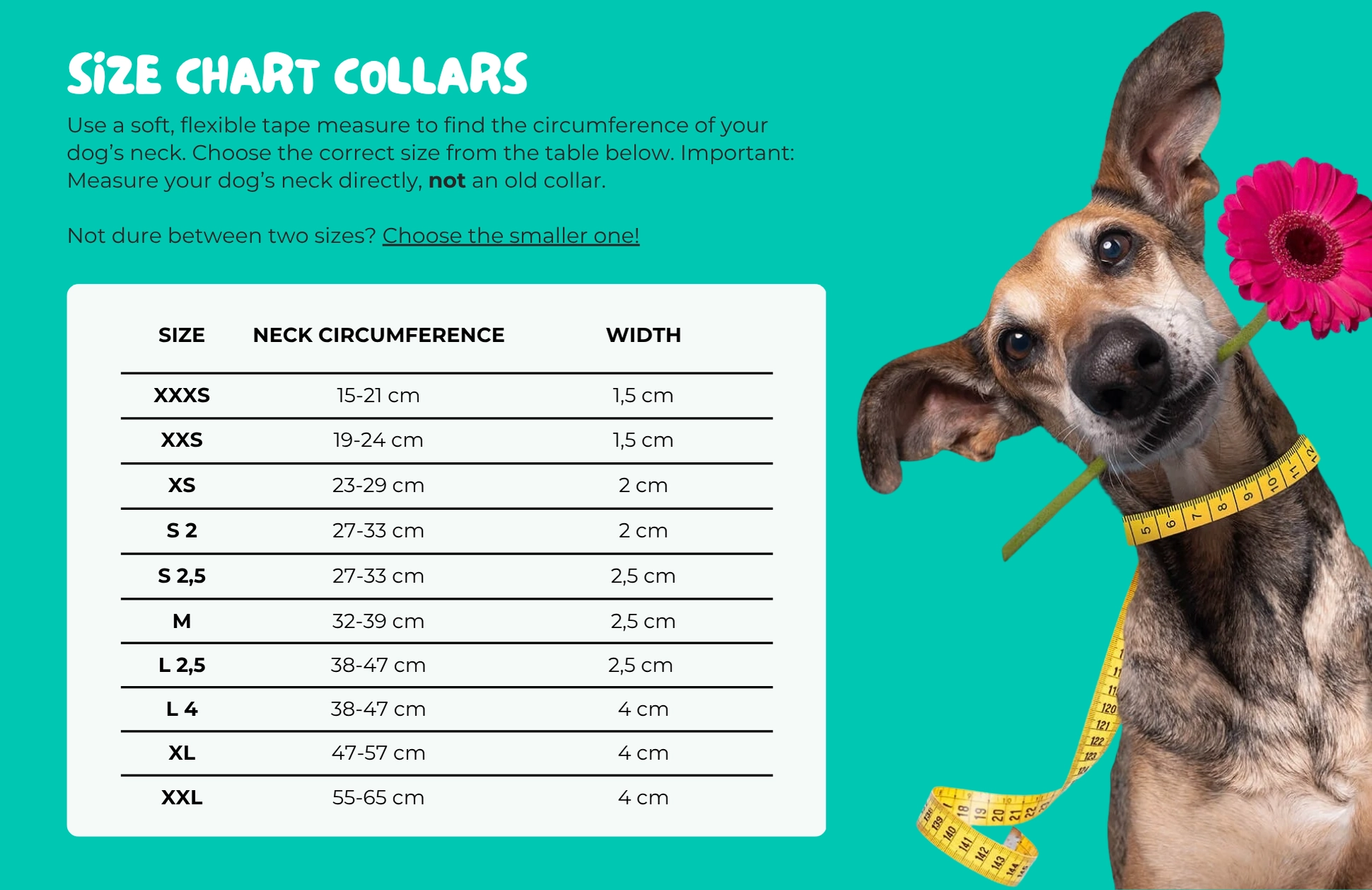 DWAM Size Chart Collars