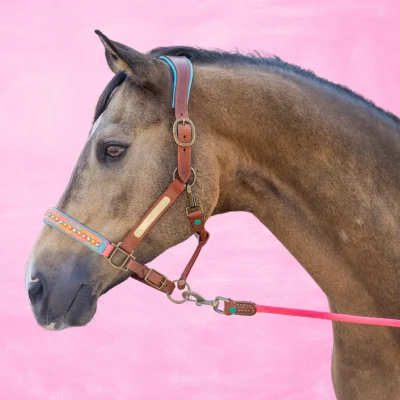 Riimu nahkaa DWAM Indian Summer Horse Halter