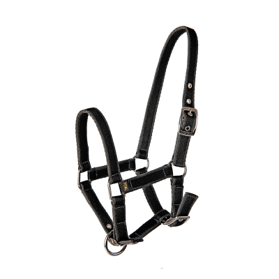 Riimu Lami-Cell Shetland Halter